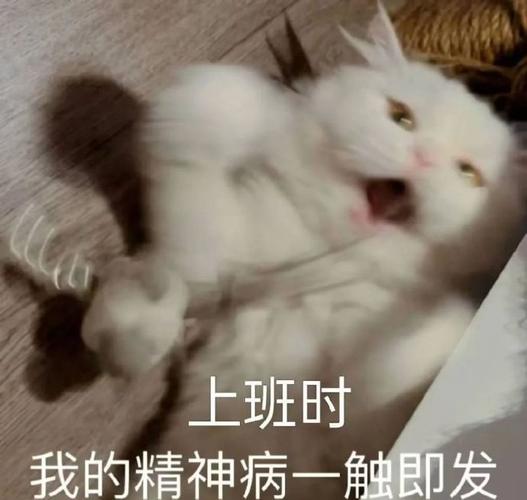 上班时 我的精神病一触即发