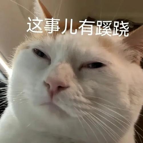这事儿有蹊跷