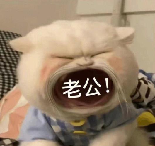 老公！