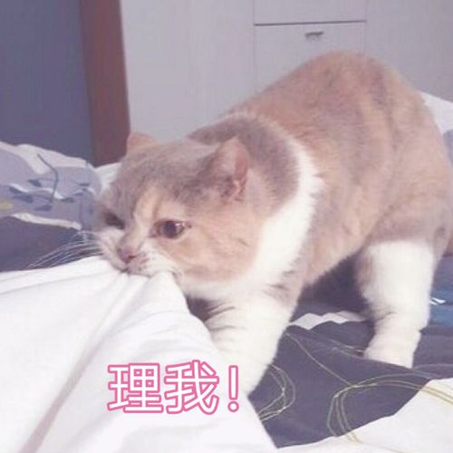 理我！