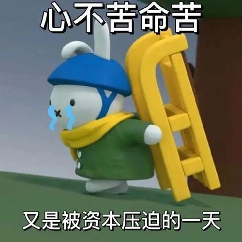 心不苦命苦 又是被资本压迫的一天