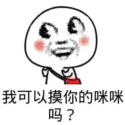 我可以摸你的咪咪 吗？
