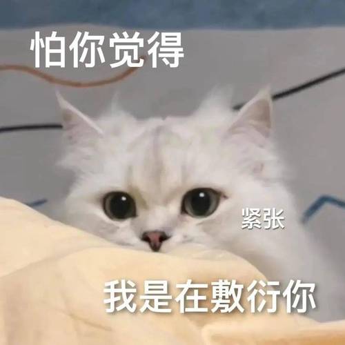 怕你觉得 紧张 我是在敷行你
