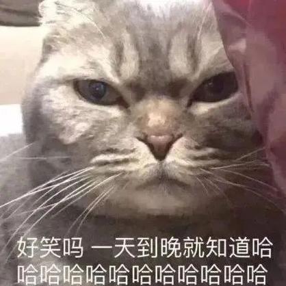 好笑吗一天到晚就知道哈 哈哈哈哈哈哈哈哈哈哈哈