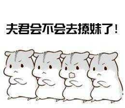夫君会不会去撩妹了！