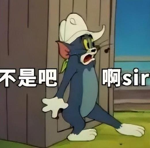不是吧啊sir