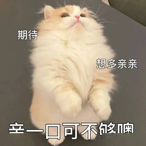 期待 想多亲亲 辛一口可不够啊