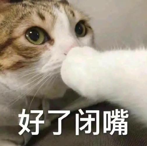 好了闭嘴