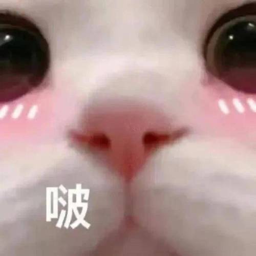 微信爆款表情包：别嘴硬了刷屏ing