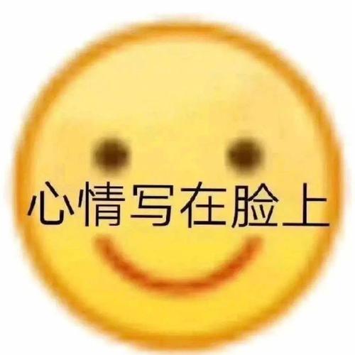 《心情写在脸上：搞笑沙雕表情包让你瞬间破防》