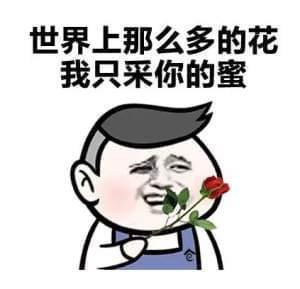 世界上那么多的花 我只采你的蜜