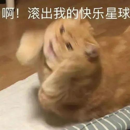 啊！滚出我的快乐星球