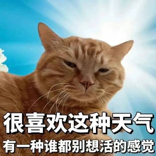 很喜欢这种天气 有一种谁都别想活的感觉