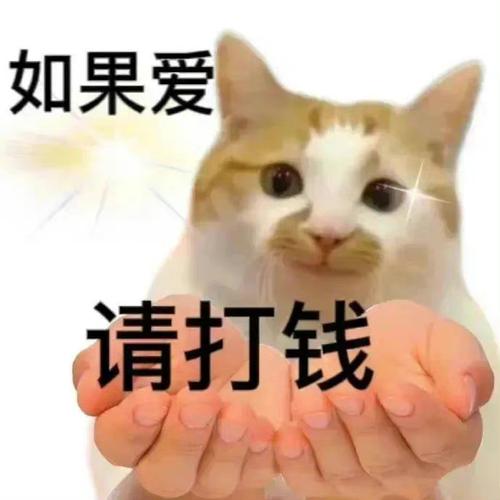 如果爱 请打钱