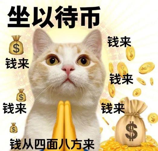 坐以待币 钱来 钱来 钱来 钱来 钱来 钱从四面八方来