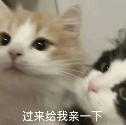 过来给我亲一下