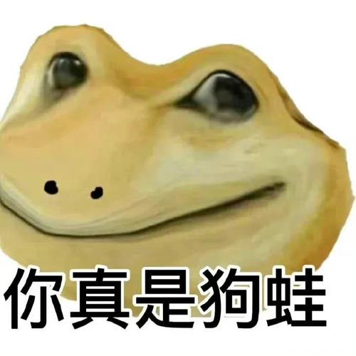 狗蛙搞笑表情包