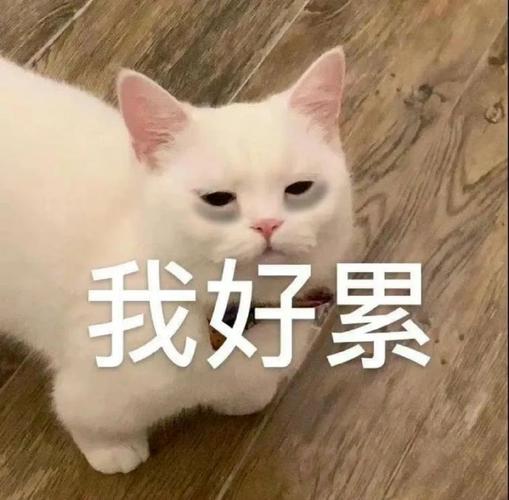我好累