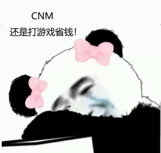 CNM 还是打游戏省钱！