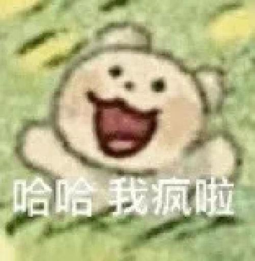 哈哈我疯啦