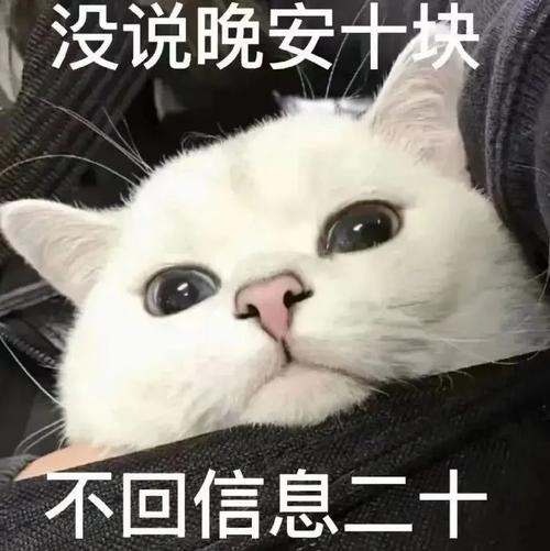 没说晚安十块 不回信息二十