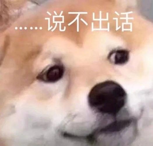 说不出话的斗图尴尬