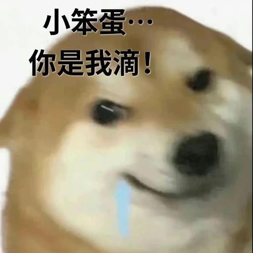 小笨蛋· 你是我滴！