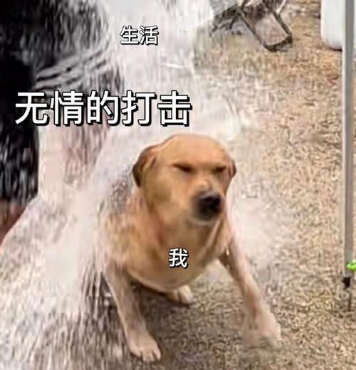 生活 无情的打击 我