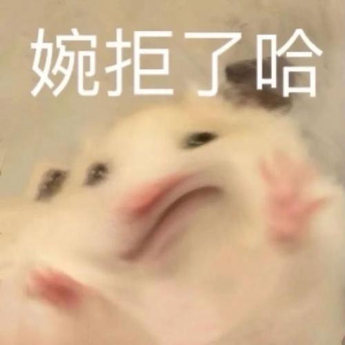 婉拒了哈