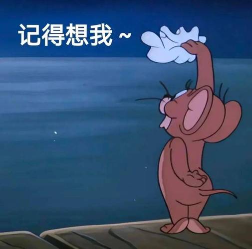 记得想我