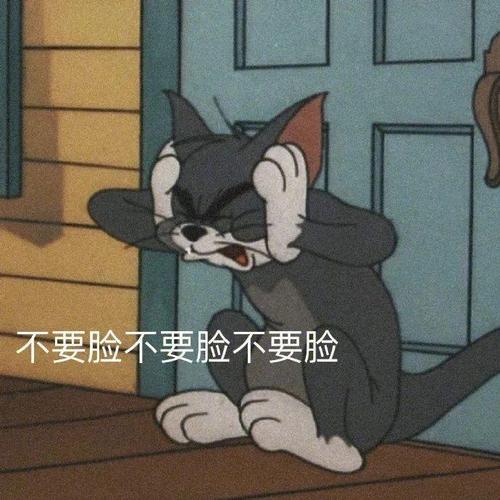 不要脸不要脸不要脸