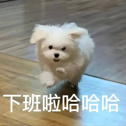 下班啦哈哈哈