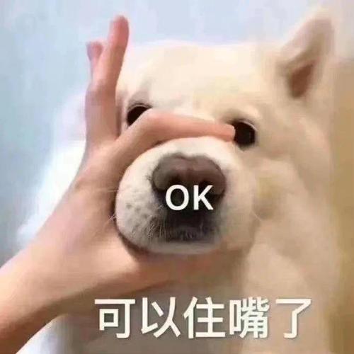 OK 可以住嘴了