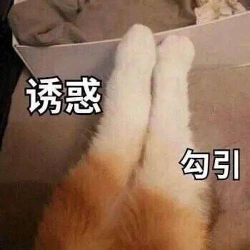 诱惑 勾引