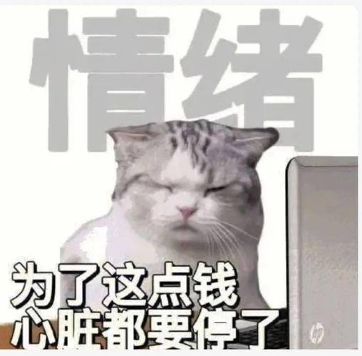 情结 为了这点钱 心脏都要停了