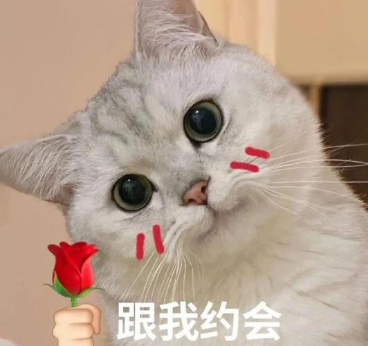 跟我约会