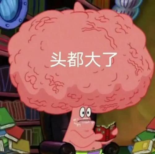 头都大了