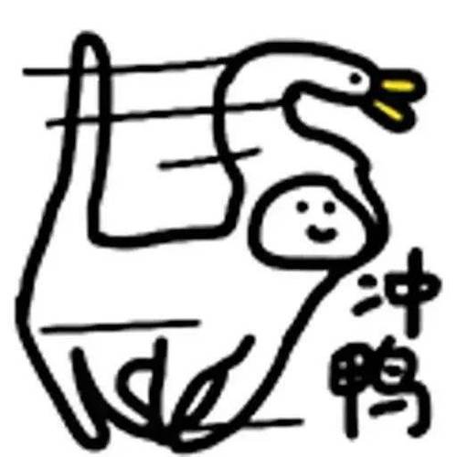 中 鸭