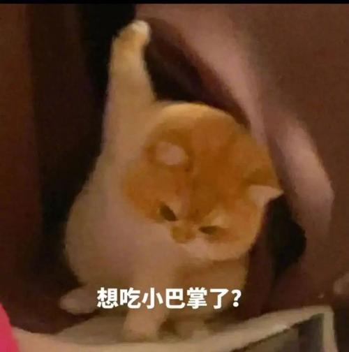 想吃小巴掌了？