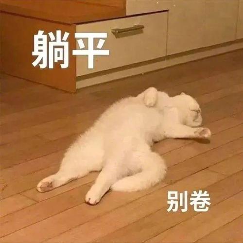 躺平别卷聊天气图_你骂我你完了表情包下载