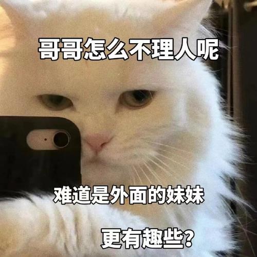 哥哥怎么不理人呢 难道是外面的妹妹 更有趣些？