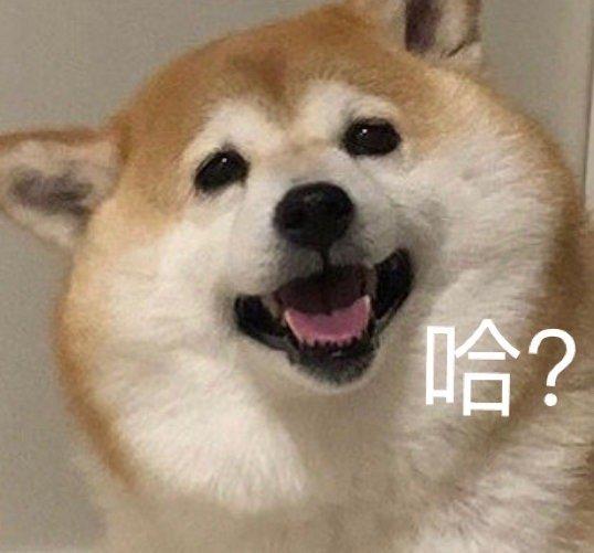 哈？