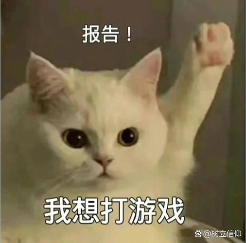 报告！ 我想打游戏 @树立信仰