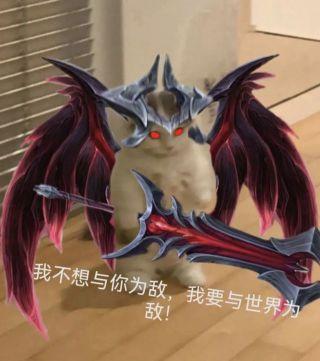我不想与你为敌 我要与世界为 敌！
