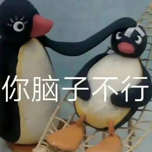 你脑子不行