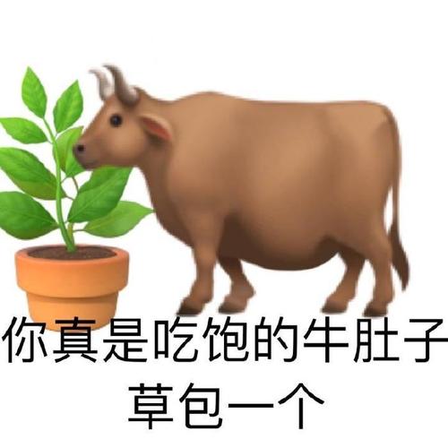 你真是吃饱的牛肚子 草包一个