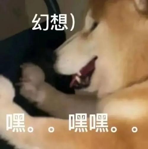 幻想） 嘿嘿。
