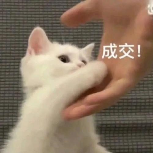 成交！