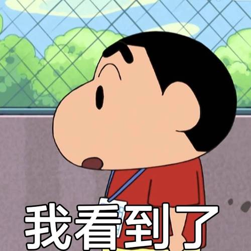 我看到了