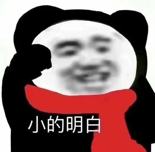 《小的明白：最火的高频使用斗图表情包》